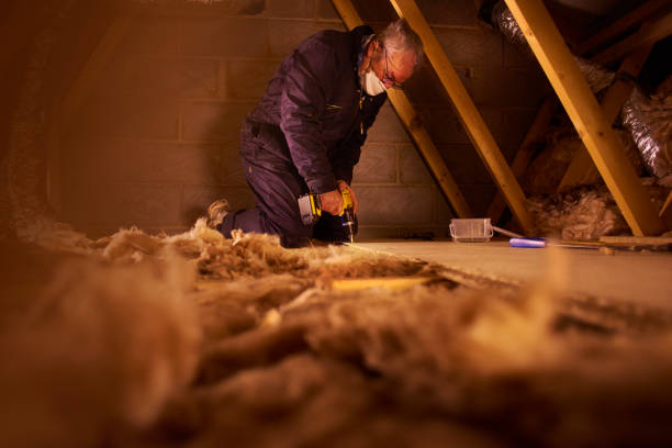 Best Residential Insulation in Port Dickinson, NY