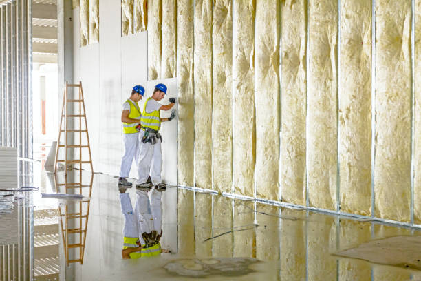 Best Specialized Insulation Services in Port Dickinson, NY